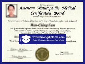 Buy certificate of American Naturopathic Medical Certification Board(ANMCB)