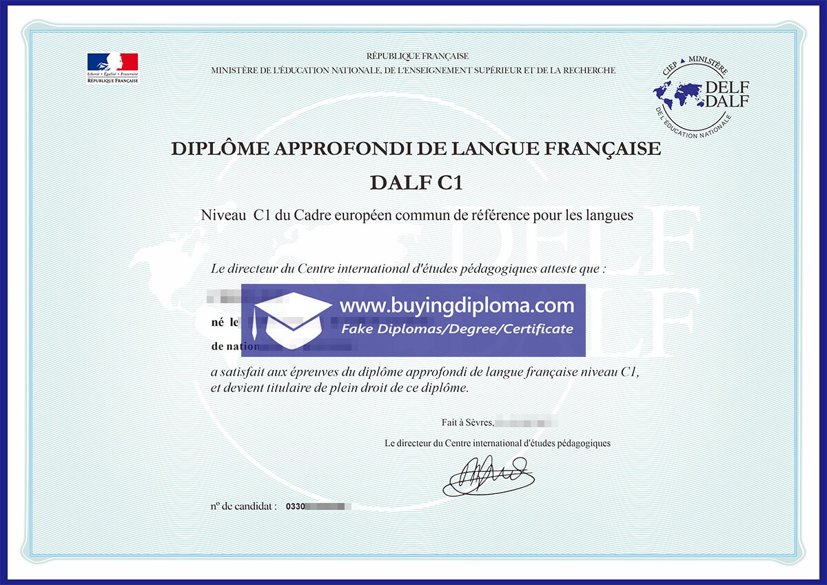 How To Buy A Fake DELF, DALF d Diploma
