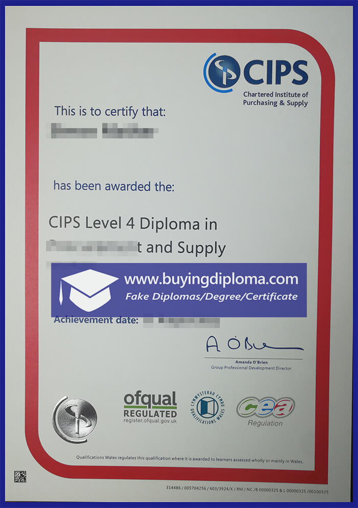 The Process Of Buy A CIPS Diploma