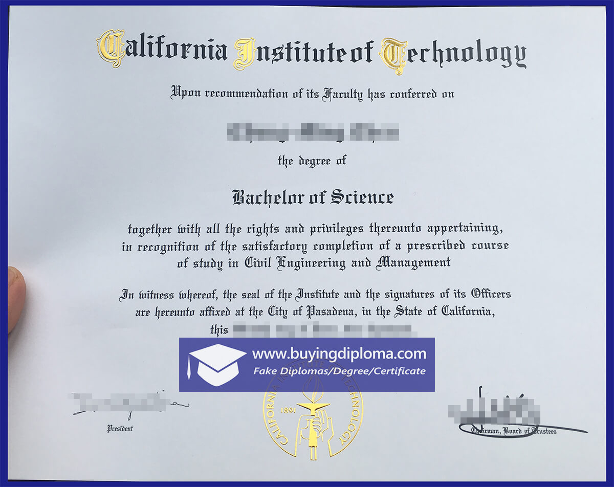 Buying a fake California Institute of Technology diploma