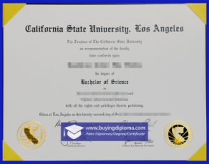The Process Of Purchase a CSULA degree online