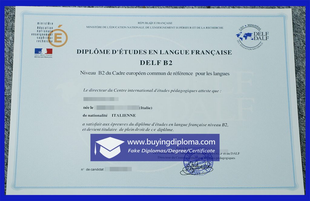You Should Buy A Fake DELF certificate