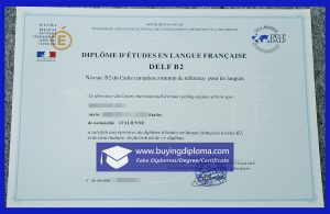 Why You Should Buy A Fake DELF certificate