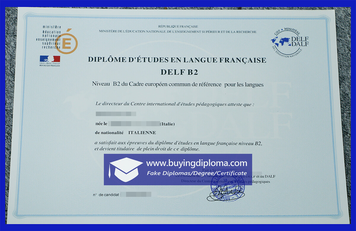 Why You Should Buy A Fake DELF certificate