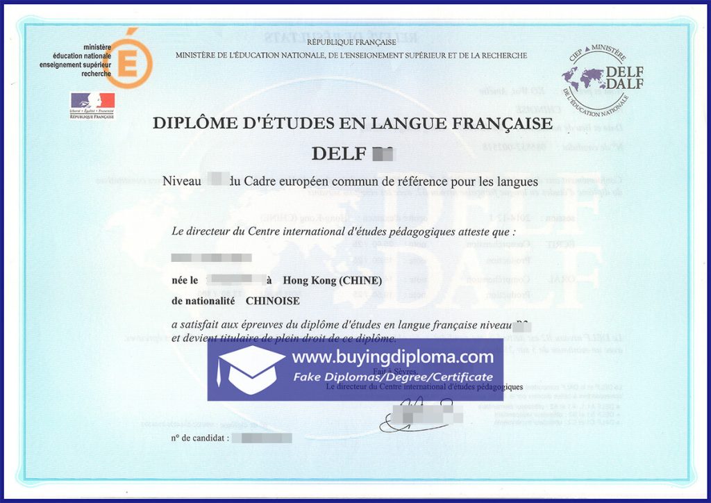 Did you order a FRENCH DELF certificate online