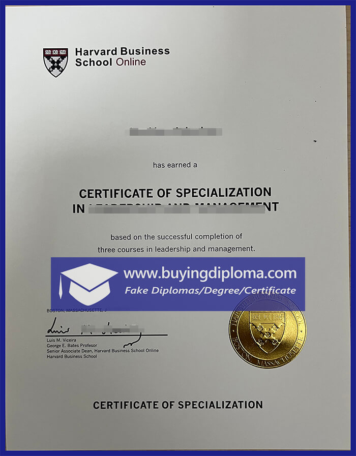 Buy Harvard Business School certificate
