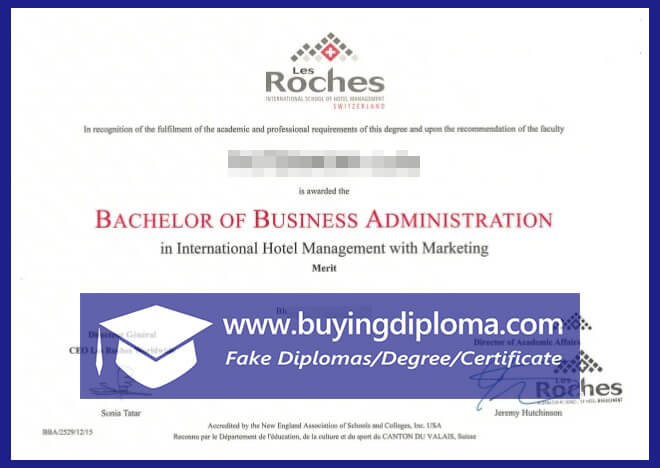 How much to Purchase a fake Les Roches certificate in Switzerland
