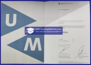 The Process Of Buy A Fake Maastricht University certificate