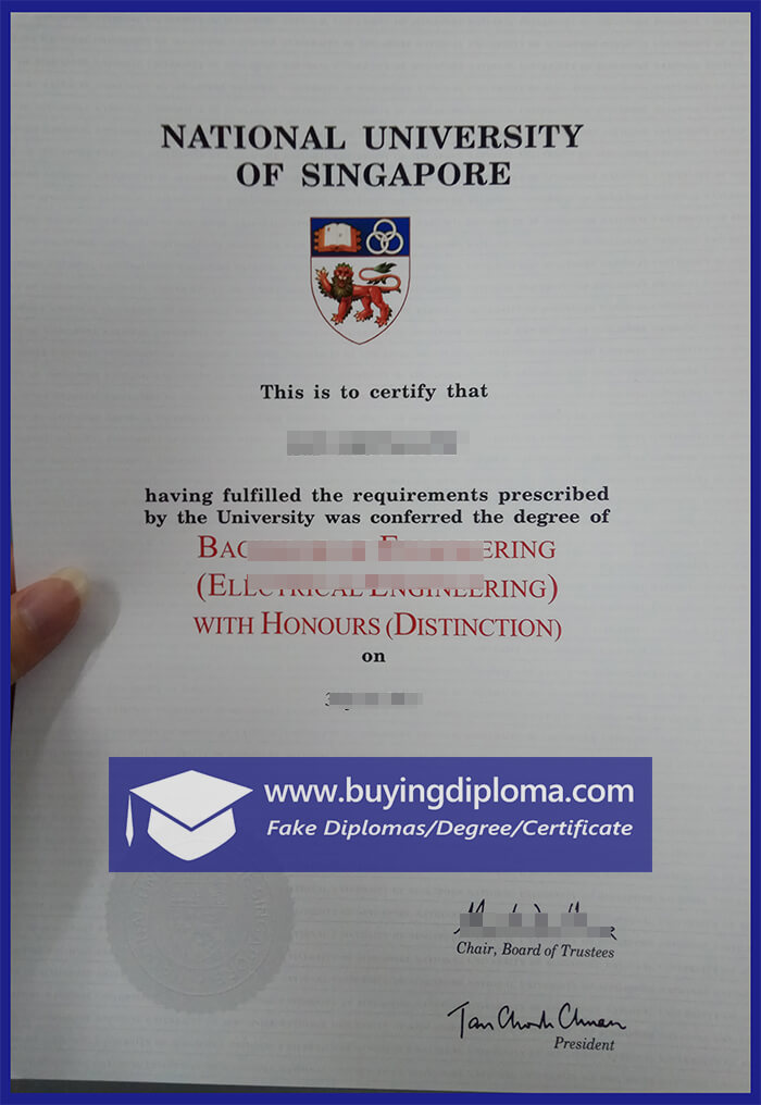 Why you need a fake National University of Singapore certificate