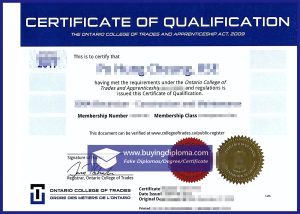 Custom a fake Ontario College of Trades certificate of qualification