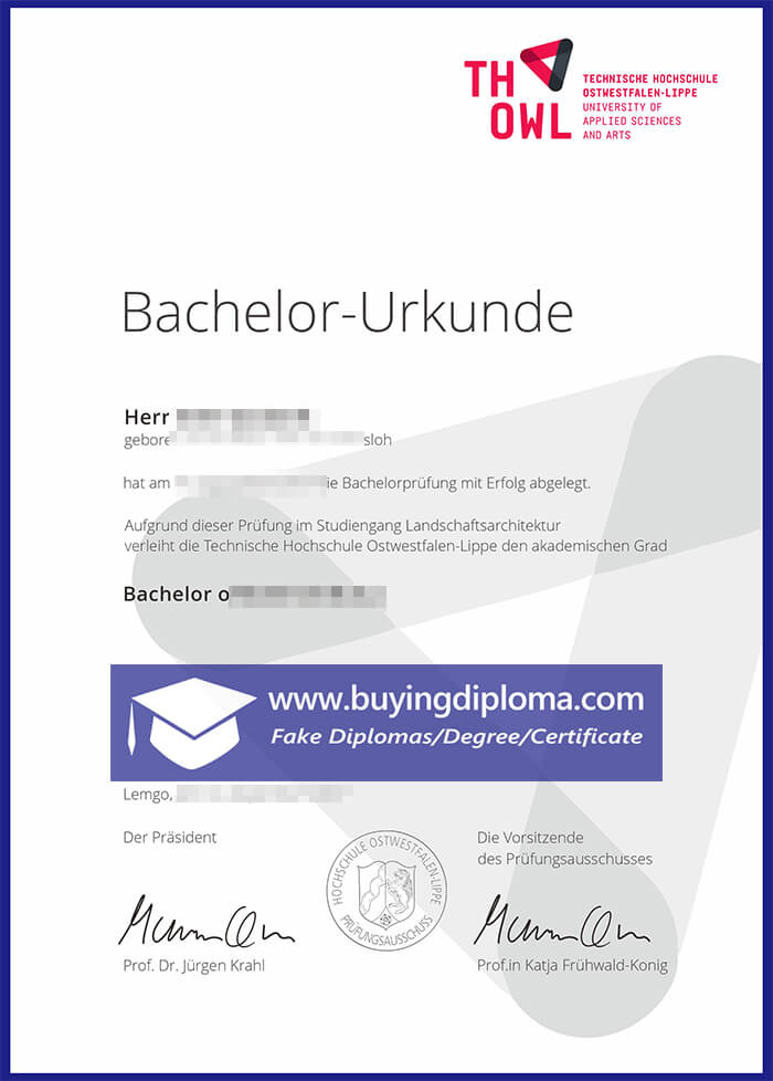 Fastest way to Buy A Fake TH OWL Diploma