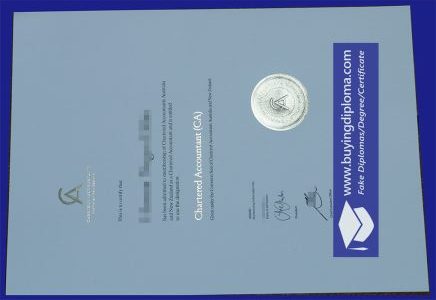 Buy a real Chartered Accountant certificate