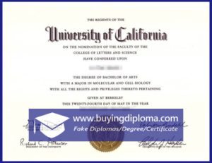 Why You Should Buy A Fake University of California degree certificate