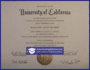 Can i Custom a fake University of California, Riverside diploma