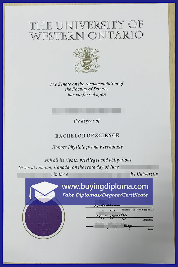 Can You Purchase a Western University certificate
