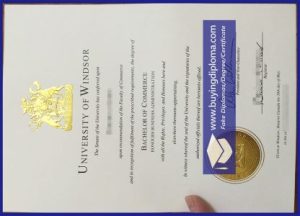 Why not buy a University of Windsor diploma