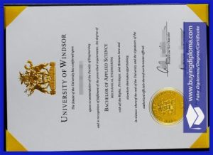 Copy university of Windsor certificate
