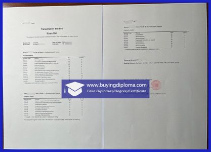 Fake LJMU diploma certificate