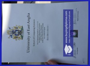 Fake University of East Anglia diploma