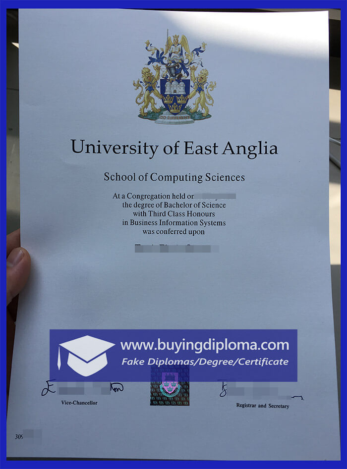 Fake University of East Anglia diploma