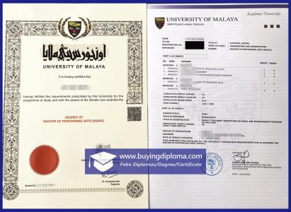 fake University of Malaya diploma picture