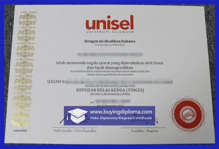 Selangor University diploma