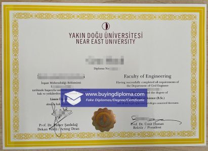 fake Near East University diploma certificate